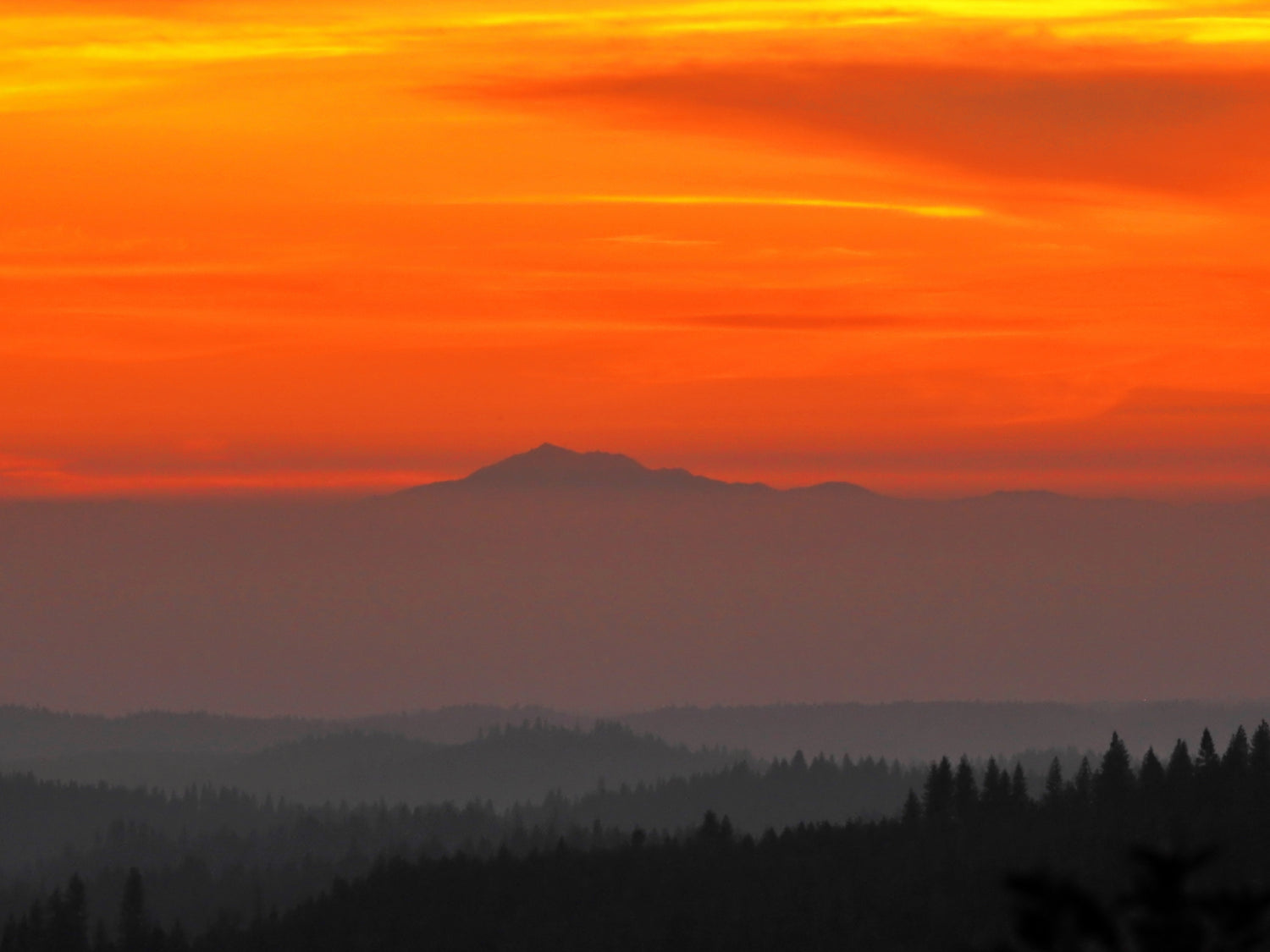 Solaced by a mountain sunrise or sunset, forest trees on the horizon, orange and yellow hues