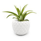 Pottery, White Planter, Sustainable Plant Pot