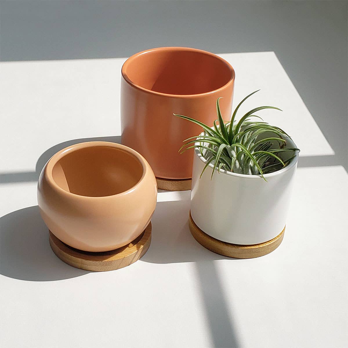 Planter Pots | Succulent Garden